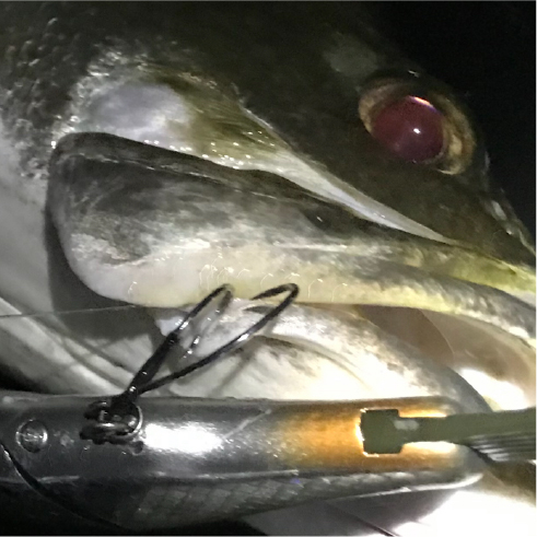 これはフッキングし、ターゲットが反転した方向が１本目のフックと同方向だった為に起こったケース。